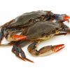 soft shell crab